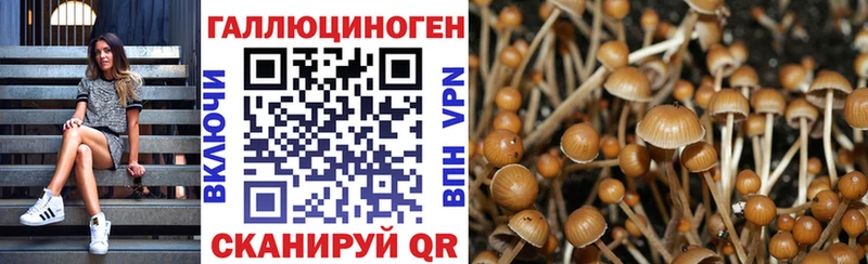 MEGA ONION  Армавир  Псилоцибиновые грибы Psilocybine cubensis  как найти закладки 